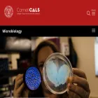 micro.cornell.edu