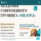 milordacademy.ru