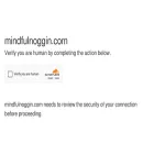 mindfulnoggin.com