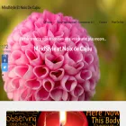 mindstyle-et-noixdecajou.com