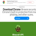 minecraft.com.in