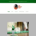 miniindoorgolf.com