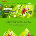 ministryofads.com