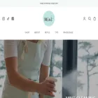 mintcleaningproducts.com