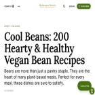 mischievousmonsters.com