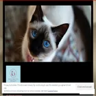 missialiphotography.com