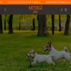 miyagipets.cl