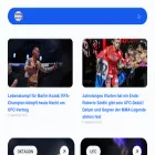 mmafanatik.de