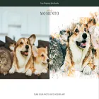 momentogallery.com