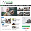 moneyinthe20s.com