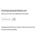 monkeybusinessinstitute.com