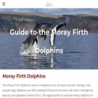 moraydolphins.co.uk