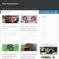 mostamazingviews.com