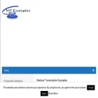 mtexamples.com