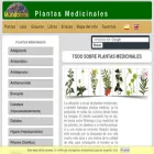 mtplantas.com