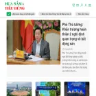 muasamvatieudung.com