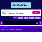 multibaggerstockideas.com