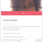 mycastleintheair.com