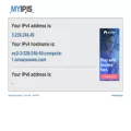myip.is