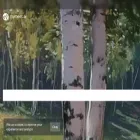 mymeet.ai