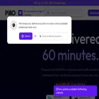 mypillo.in