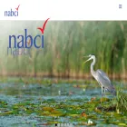 nabci-us.org