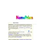 name-prism.com