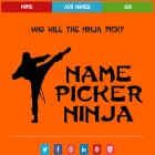 namepickerninja.com