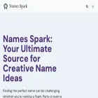 namesspark.com