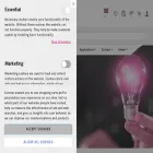 nassmagnet.com