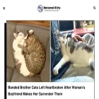 nationalkitty.com