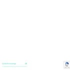naviafreight.com
