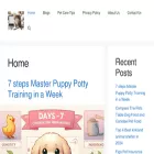nbpshelter.org