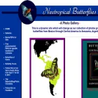 neotropicalbutterflies.com