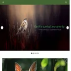 netgreenfoundation.com