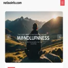 netisoinfo.com