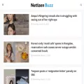 netizenbuzz.blogspot.ie