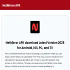 netmirors.com