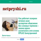 netpryshi.ru