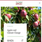 newenglandapples.org