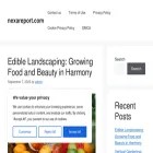 nexareport.com