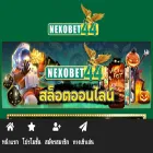 nexobet44.com