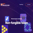 nftblockchain.business