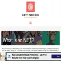 nftniches.com