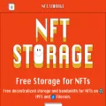 nft.storage