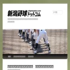 niigatayakyu.com
