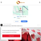 nipino.com
