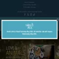 noahs-ark.org