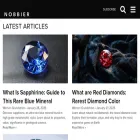 nobbier.com