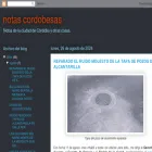 notascordobesas.com